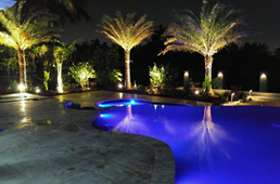 view of custom designed backyard with lighting features on palm trees and around swimming pool